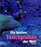 Image de Die besten Tauchplätze der Welt