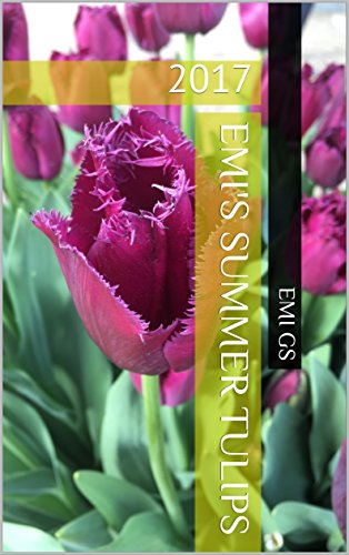 Download Emi's Summer Tulips (April Tulips)
