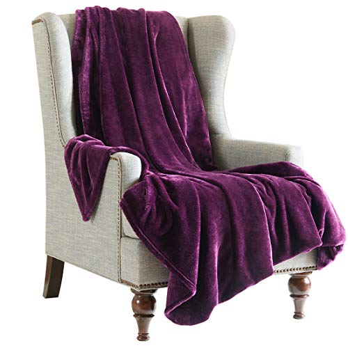 URBAN HABITAT Manta de Microfibra, Manta Súper Suave, Fabricada en Poliéster de Alta Calidad, 280 g/m², 100% Resistente al Desgarro, Antibacterial ( 200*240cm, Morado )