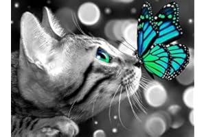 通用 Malowanie według liczb, dla dorosłych, dzieci, szary kot, niebieski motyl, 40 x 50 cm, płótno żaglowe, obraz olejny "zrób to sam", do dekoracji domu, na urodziny, Boże Narodzenie, prezent (bez krawędzi)