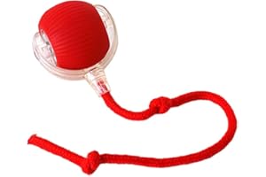 LIFECOSM Interactive Rolling Ball, Electric Dog Ball, Self-Rolling Smart Automatic 360° Pet Toys for Dogs & Cats