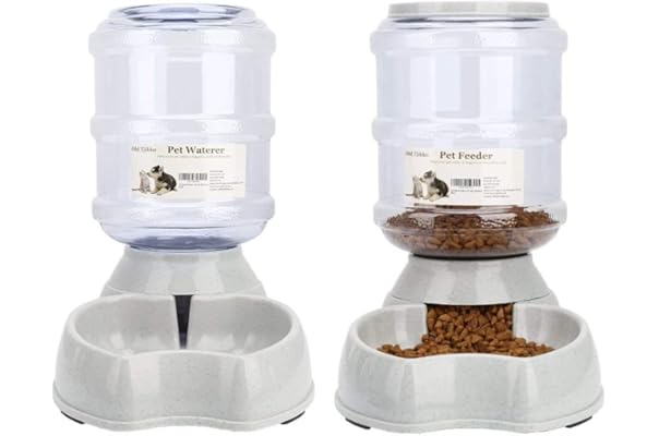 electronic dog feeder