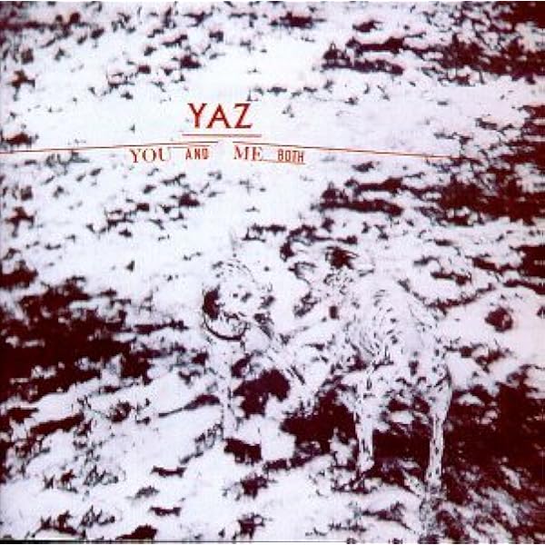 洋楽 Yazoo / In Your Room 3CD+DVD Yazoo – In Your Room – Box Set (Compilation): 3 x CD, DVD, 2008