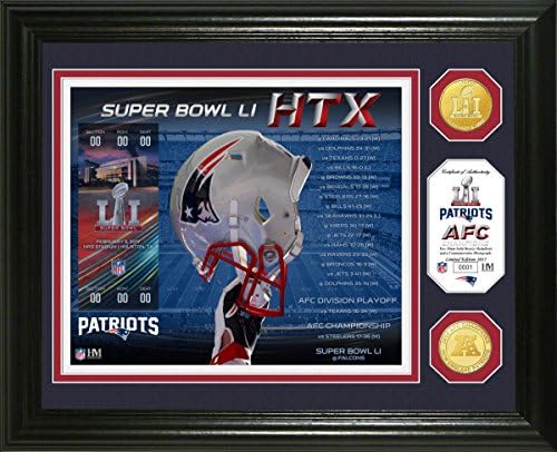 NFL New England Patriots Highland Mint super Bowl 51 Minted Coin Photo Mint, Black