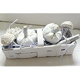 Unikat handmade Dekokorb herbstlich gefüllt mit Kürbissen und Pilzen