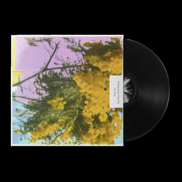 FOUR TET - Rounds (180g), - Wir Schenken Augenblicke