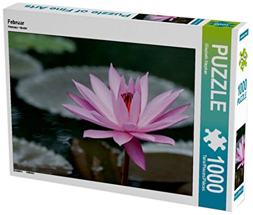 Februar 1000 Teile Puzzle quer (CALVENDO Natur)
