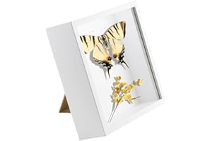 TENGYIF 3D Bilderrahmen Zum Befüllen, 3D Bilderrahmen Tief 20x20 cm Objektrahmen mit Transparente Acrylglas, Tiefer Rahmen für Objekte bis 5cm, 3D Rahmen Weiß für Wandbehang oder Desktop