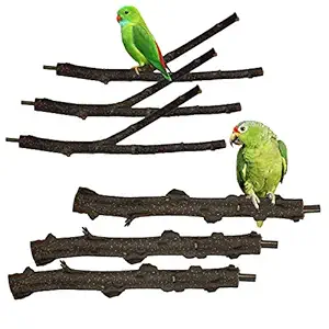 kathson 6 PCS Parrot Perches Birds Stand Pole Toy Natural Wood Perch Bird Cage Accessories for Parakeet, Budgies, Lovebirds