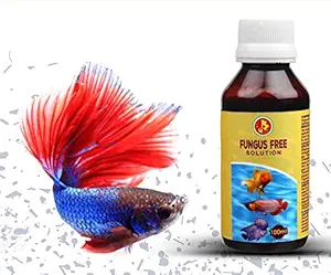 Pet Care International (PCI) Fungus Free || Specially Designed for Aquarium/Fish Tank || Anti-Fungus, Effective Against Fungus || 100ml