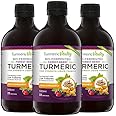 Bio-Fermented Turmeric (3-Pack) with Bio Cultures & Digestive Enzymes - Fermented High Strength Liquid Turmeric Supplement with Black Pepper & Ginger Equivalent to 2 Turmeric Capsules - 3 Pack