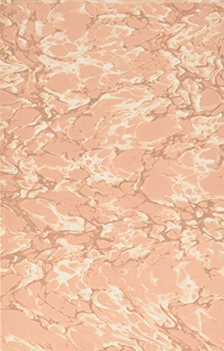 Download Carnets pyrénéens : 2 volumes