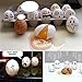 Welecom(TM) 6Pcs Wooden Faux Fake Eggs, Children Play Kitchen Game Food Toy
