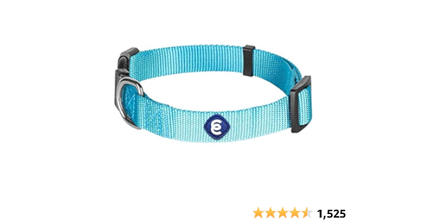 amazon blueberry collar