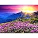 Produktbild MAIYOUWENG Holzpuzzle 1000 Teile Weißdorn Sonnenaufgang Und Lila Blumen Hochwertige Große 1000 Teile Holzpuzzle, Einzigartige Hauptdekorationen Und Geschenke