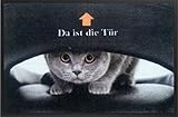 Fußmatte Fußabtreter Fußabstreifer Schmutzmatte Motiv...