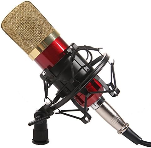 Dolotu BM Series Dynamic Condenser Microphone Sound Studio Recording Mic+ Shock Mount + Microphone Windshield- Professional Studio Broadcasting &amp; Recording Microphone SetEnjoying Singing Speaking High Party (BM700, Red)