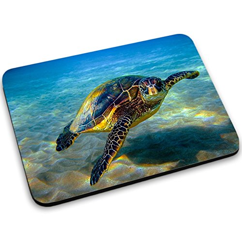 Leben im Meer 10095, Schildkröten, Mousepad Anti Rutsch Unterseite für Optimalen Halt Kompatibel mit allen Maustypen (Kugel, Optisch, Laser) Ideal für Gamer und für Grafikdesigner.
