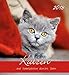 Produktbild Herlitz 50011148 Postkartenkalender 2018 Katzen