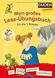 Duden Leseprofi - Mein großes Lese-Übungsbuch für die 1. Klasse: Mit 100 spannenden Leserätseln (DUDEN Leseprofi 1. Klasse) by 