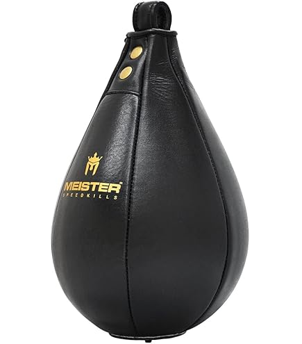 Support Pivotant Meister Speed Bag - Roulements à Billes 360° - Acier Inoxydable - Pour Sac De Frappe