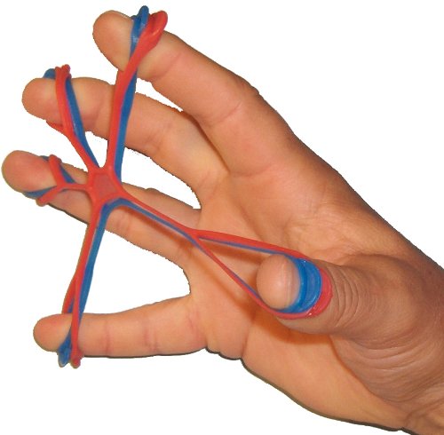FlexEx Hand Exerciser, Made In USA - 6