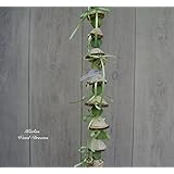 Fensterschmuck, mint, pistazie, Naturdeko,