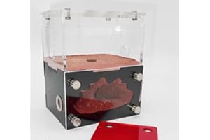 RIMSUNTA Formicarium – Ant Farm Habitat Kit for Behavior Observation, Educational Terrarium for Adults and Kids