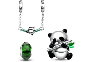 HappyStar Charme Argent Sterling 925 Femmes Perles Charm,Compatible PourPandora & Européen les bracelets et les colliers Charms de combinaison, cadeau pour les sœurs et les amoureux