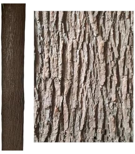 Cozylkx Künstliche Baumrinde, 20 cm x 1 M, Simulierte Rinde Für Säulen, Rohre, Umhüllungen, Gartenpflanzen, Dekor, Baummodellbau Sonstiges