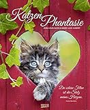 KatzenPhantasie 2020: Großer Wandkalender. Foto-Kunstkalender - Katzenkalender mit literarischen Zitaten. 55 x 45,5 cm by