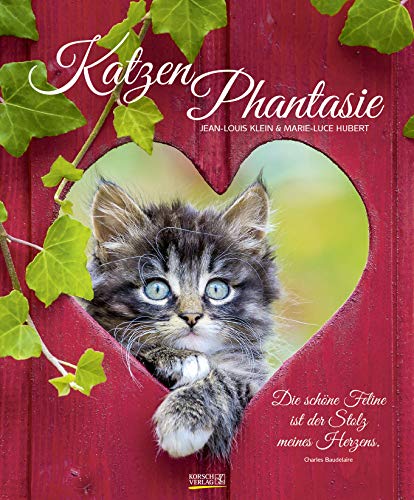 KatzenPhantasie 2020: Großer Wandkalender. Foto-Kunstkalender - Katzenkalender mit literarischen Zitaten. 55 x 45,5 cm