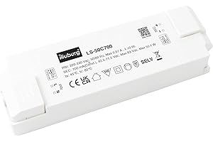 HuaTec Eaglerise Trasformatore LED 700mA 900mA 1050mA 6W 12W 20W 30W 40W 50W Senza Sfarfallio Corrente Costante per Lampada LED Alimentatore Driver (700mA 50W)