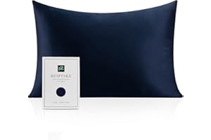 RUIPTSKE Poszewka na poduszkę z naturalnego jedwabiu, hipoalergiczna, 22 mm, 100% jedwab, 600 nitek, z ukrytym zamkiem błyskawicznym (50 x 75 cm, niebieska)
