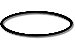 SunSun Schwimmbadpumpe HZS-750 Ersatzteil O-Ring 3 Poolpumpe Pumpe Pool