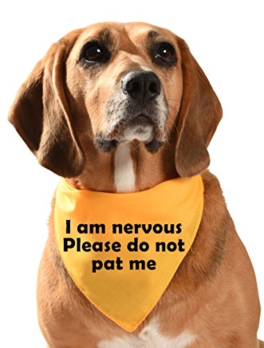 Yellow-dog-bandana-I-am-nervous-please-do-not-pat-me-customised-wording-also-available