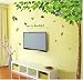 Decals Design 