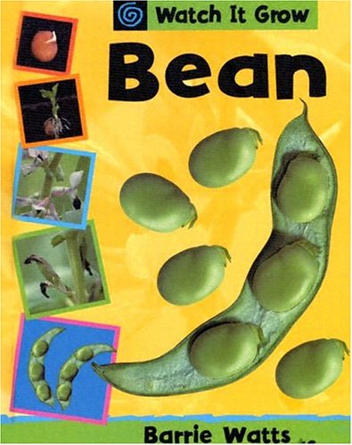 Preisvergleich Produktbild Bean (Watch It Grow)
