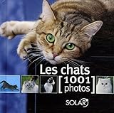 CHATS EN 1001 PHOTOS