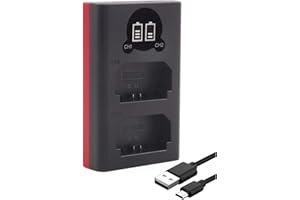 Baxxtar NP-FZ100 Chargeur de Batterie - USB Mini Chargeur (Dual, LCD) - entrée USB-C et Micro-USB