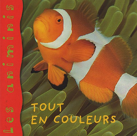 couverture de : Tout en couleurs