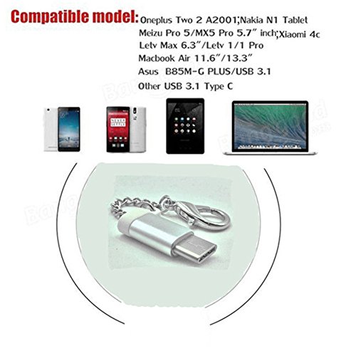 Interesting® Aluminium MicroUSB Buchse auf USB 3.1 Typ C Stecker Konverter USB-C OTG Datenadapter Konverter Schlüsselbund - 2