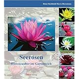Seerosen: Blütenpracht im Gartenteich