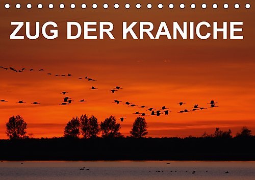 Zug der Kraniche (Tischkalender 2017 DIN A5 quer): Stimmungsvolle Fotografien von Grauen Kranichen in Norddeutschland (Monatskalender, 14 Seiten ) (CALVENDO Tiere)