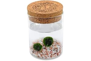 KAKI LA FELICITÀ È NELLE PICCOLE COSE Marimo Original Sughero Leggenda – Coppia (Fondale Rosa Naturale)