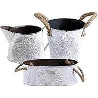 Amazon.es: Macetas colgantes: Jardín