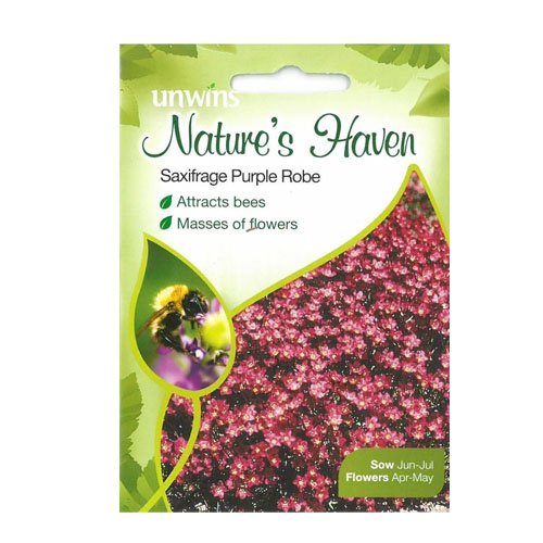 Preisvergleich Produktbild Unwins Naturen Haven Steinbrech Purpurmantel Samen