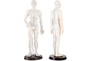 KDJFS Modello Agopuntura Proporzioni Corporee Reali Manichino Agopuntura con Chiaramente Segnato + Supporto Solido, PVC Morbido Manichino Meridiani L'agopuntura può Essere Praticata