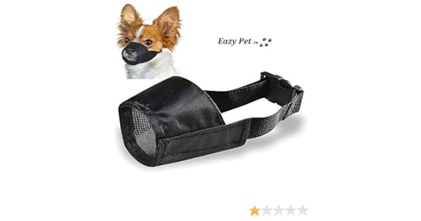 Muselière Pour Chien Finlandaise Spitz En Nylon Respirant