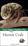 Image de Hermit Crab